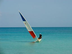 Laser Armando Pink Point